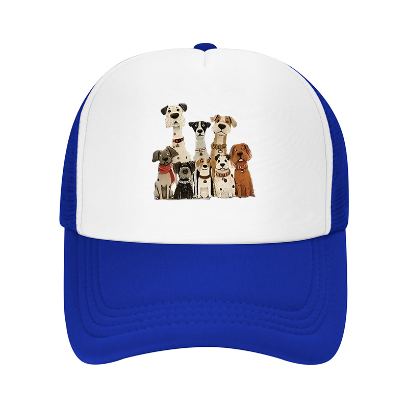 Nieuwe zomer streetwear merk b - Streetwear Brand Hats recensie en prijs