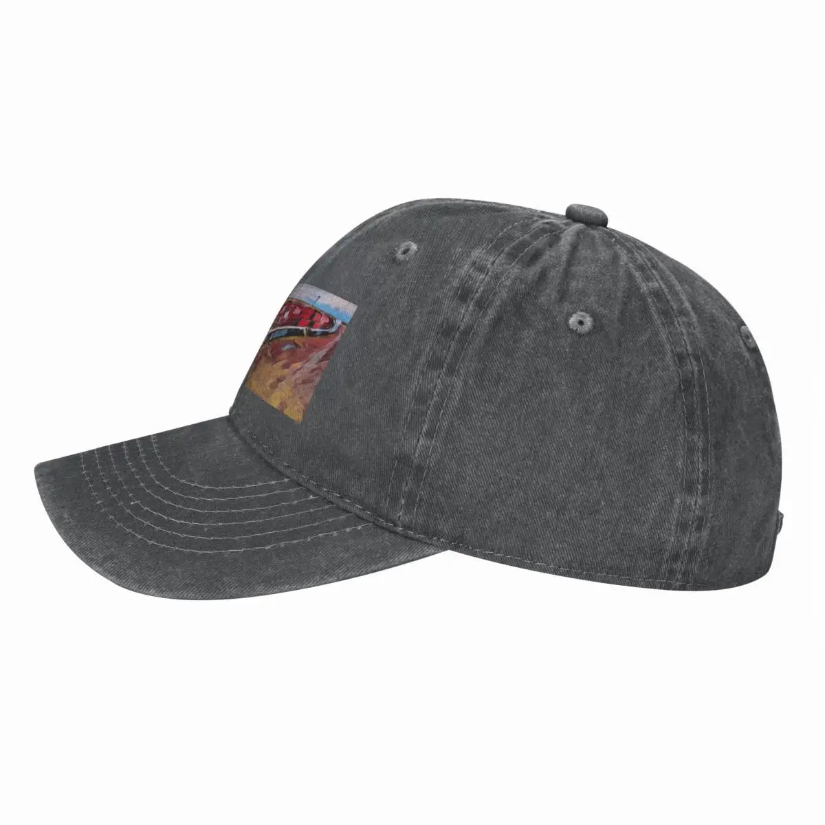 De Ghan Train Australia Baseba - Streetwear Brand Hats recensie en prijs